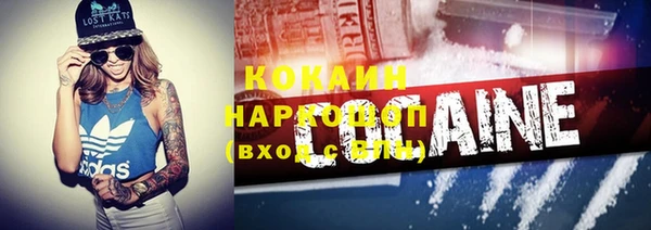 соль ск Алексин