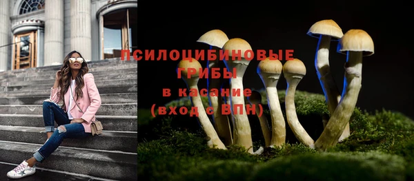 а пвп мука Абаза