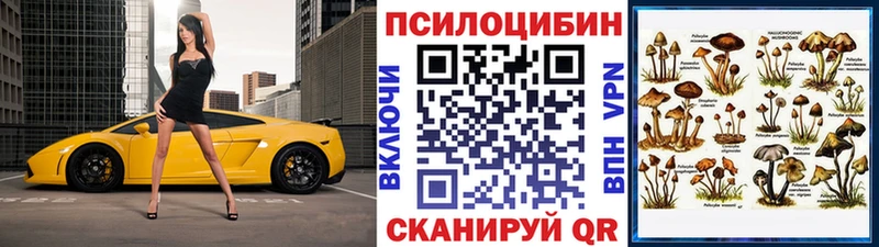 mega как войти  Нововоронеж  Галлюциногенные грибы Cubensis 