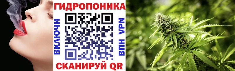 мориарти телеграм Нововоронеж Шишки марихуана OG Kush как найти закладки